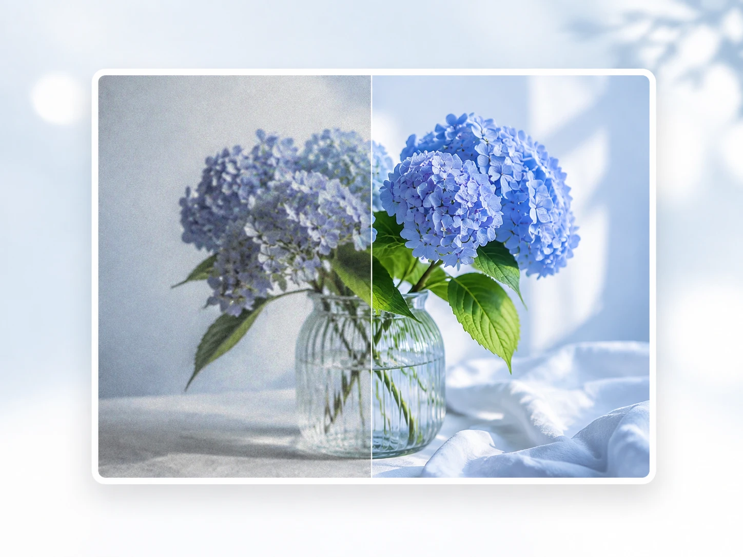 Before and after example for Photo Enhancer